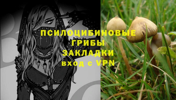 эйфоретик Абаза